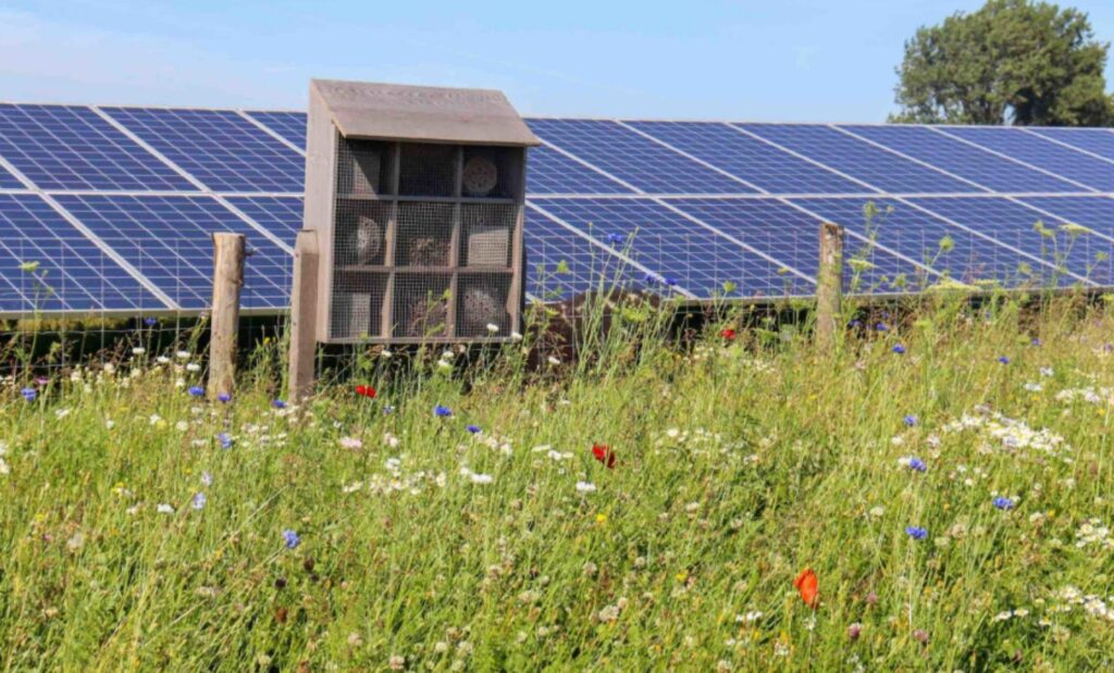 groenstrook zonnepark
